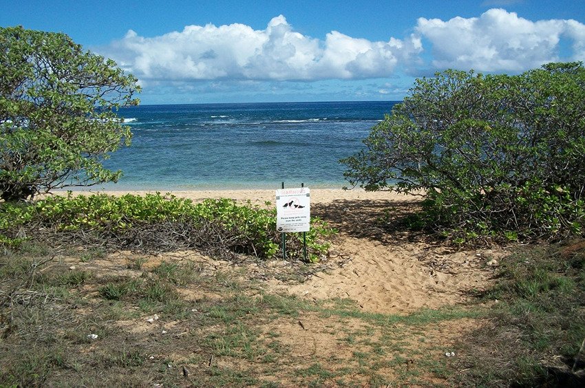 Info sign