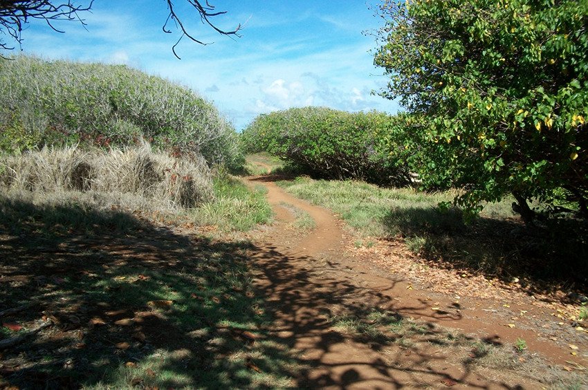 Trail to Larsen's Beach