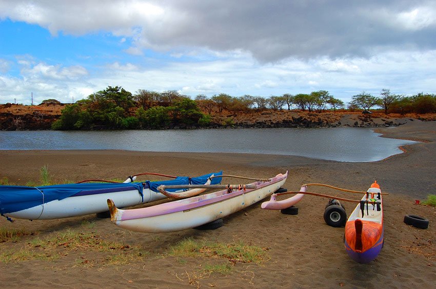 Parked outrigger canoes