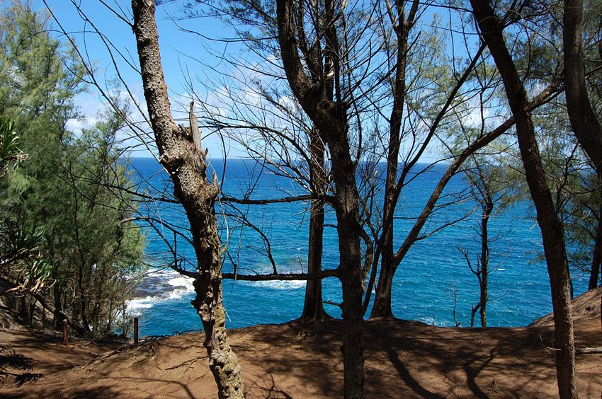 Lookout point near Lumaha'i Beach