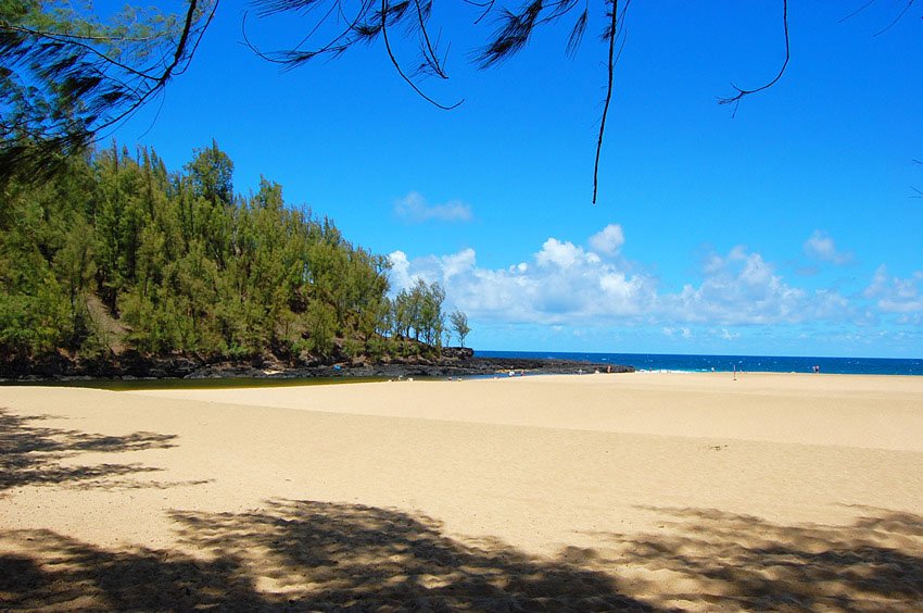 Shady spot with ocean view