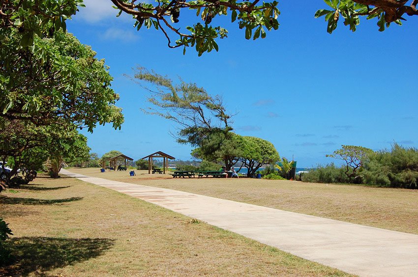 Beach walkway