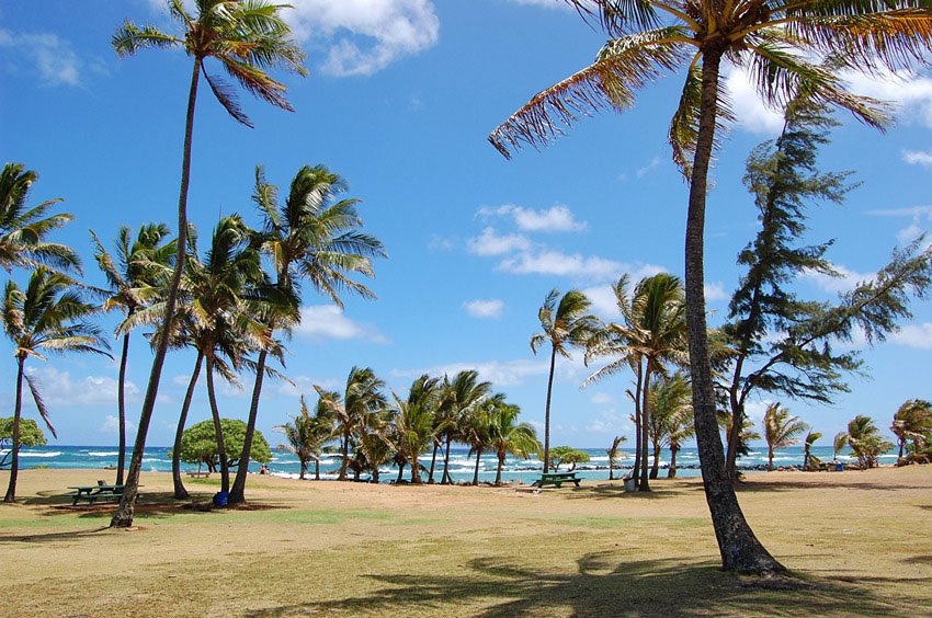 Uncrowded beach park