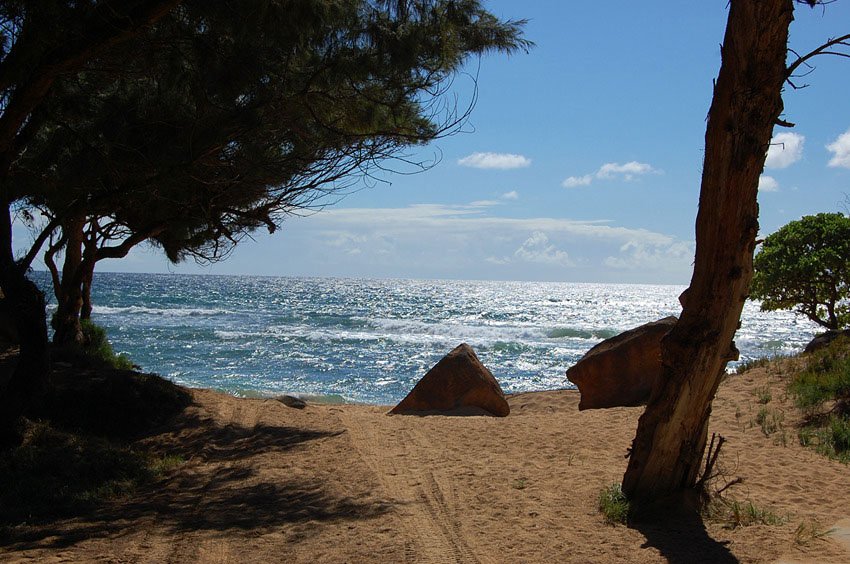 Lydgate beach access