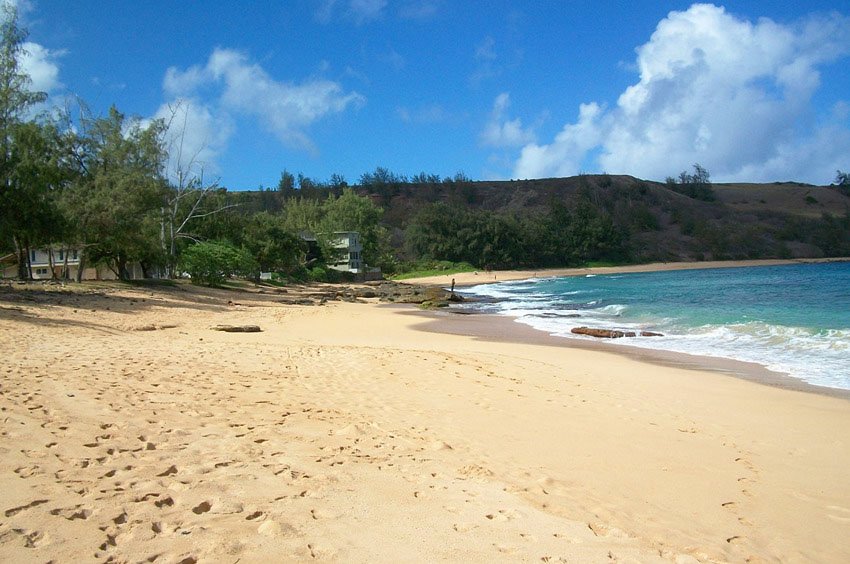 Beach with shade