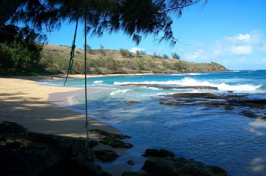 View from a shady spot