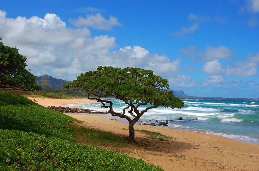 Nukolii Beach Park