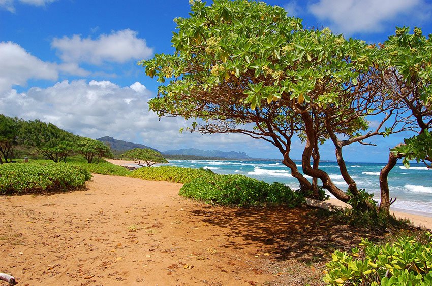 Scenic shoreline