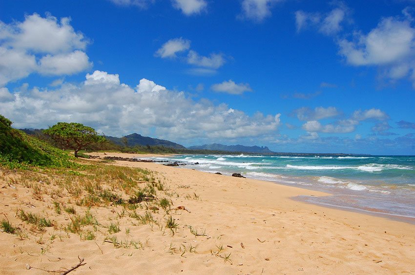 Uncrowded beach