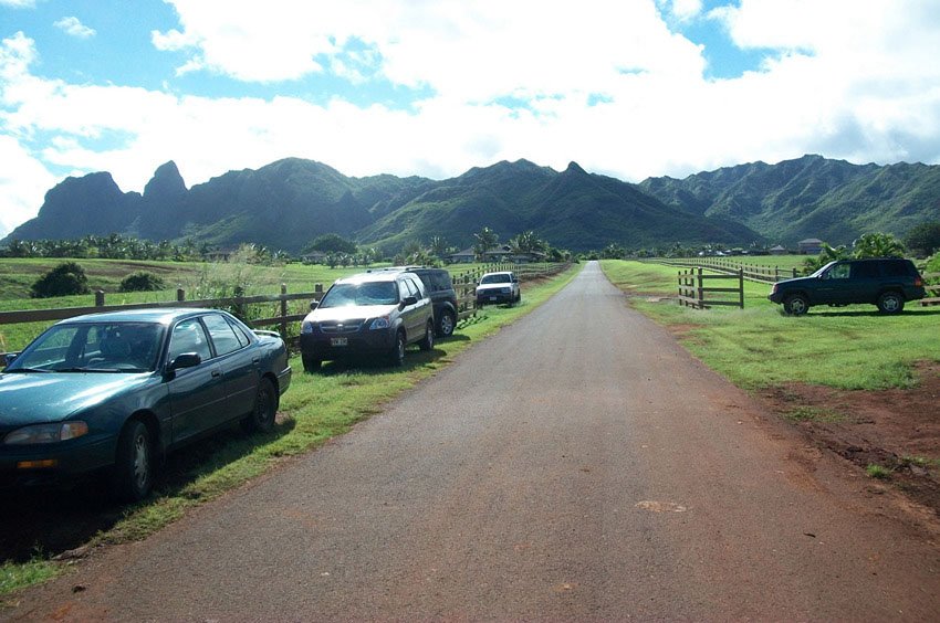 Road from public access to Papa'a Bay