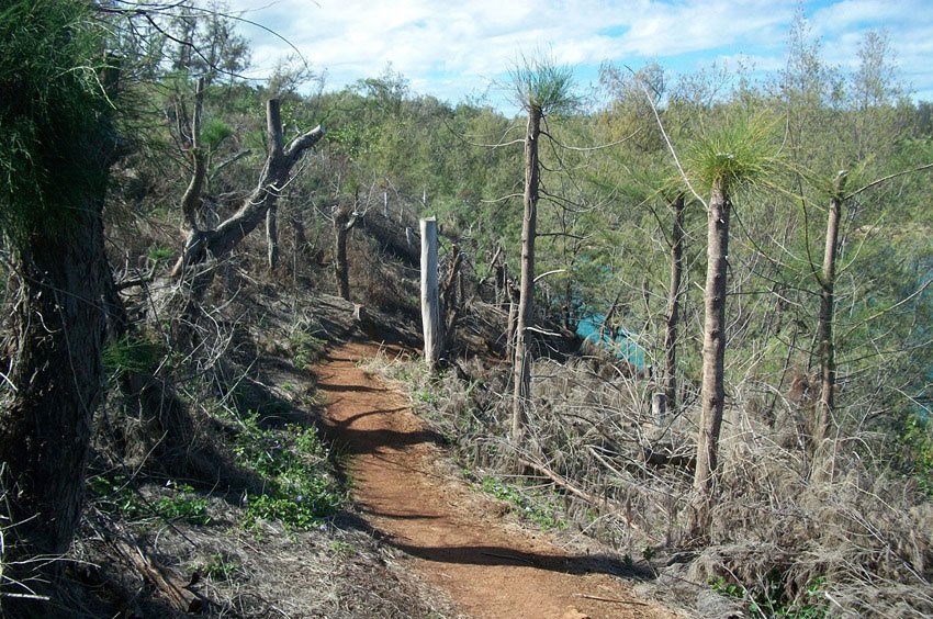 Trail to Papa'a Bay