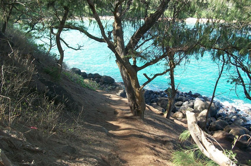 Trail to Papa'a Bay