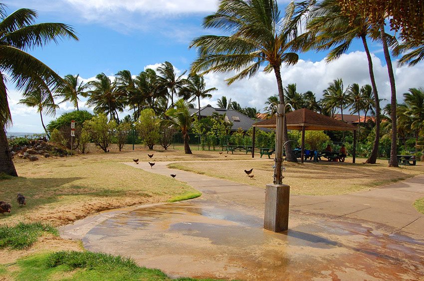 Poipu Beach shower