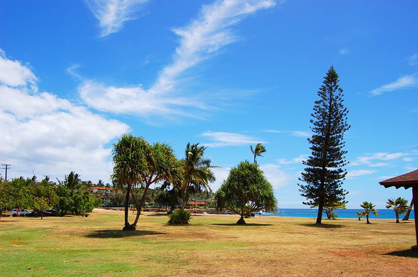 Spacious grassy area