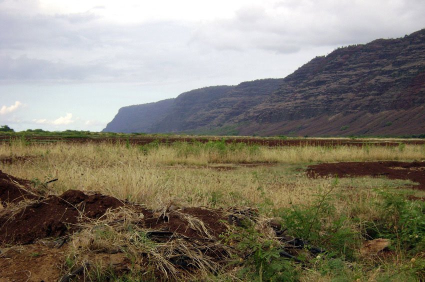 On the way to Polihale State Park