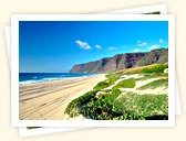 Polihale Beach