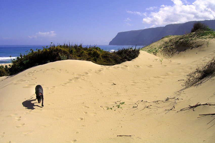 Walking on the beach