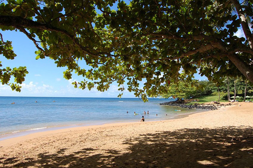 Relaxing under a shady tree