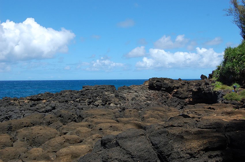 Black lava rocks at Queen's Bath