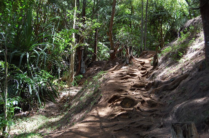 Trail to Queen's Bath