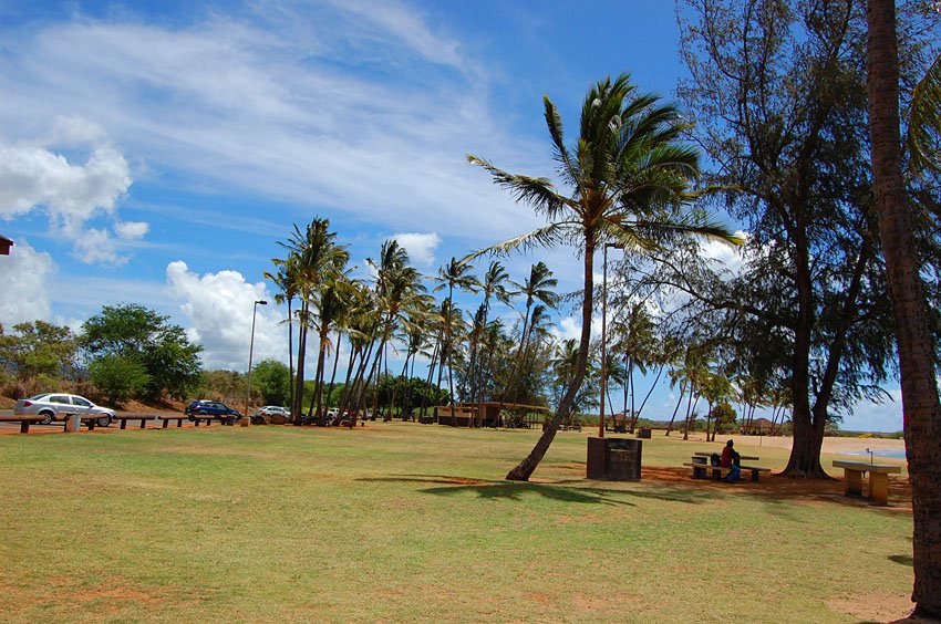 Salt Pond Park