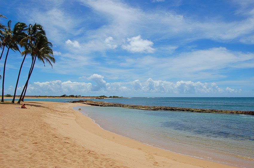 Protected swimming cove