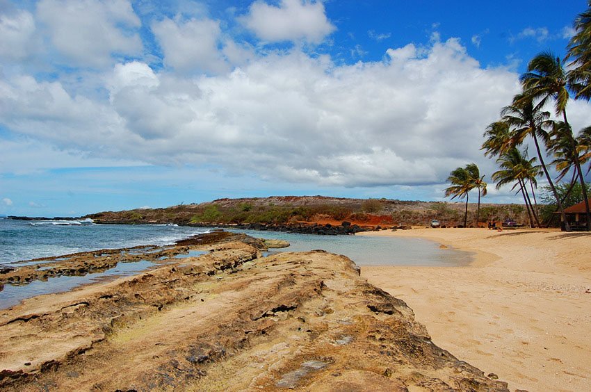 Reef on the beach