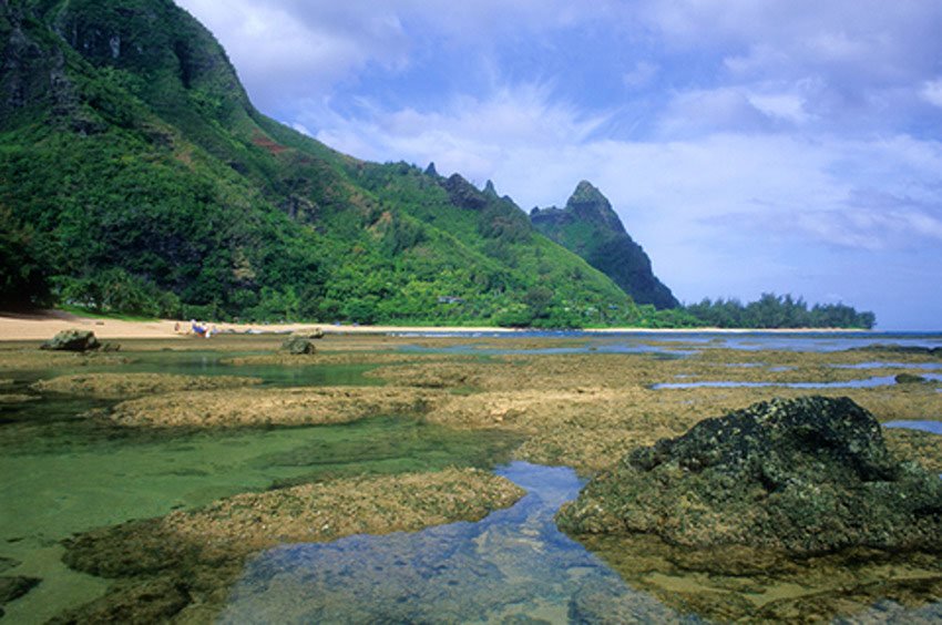 Low tide