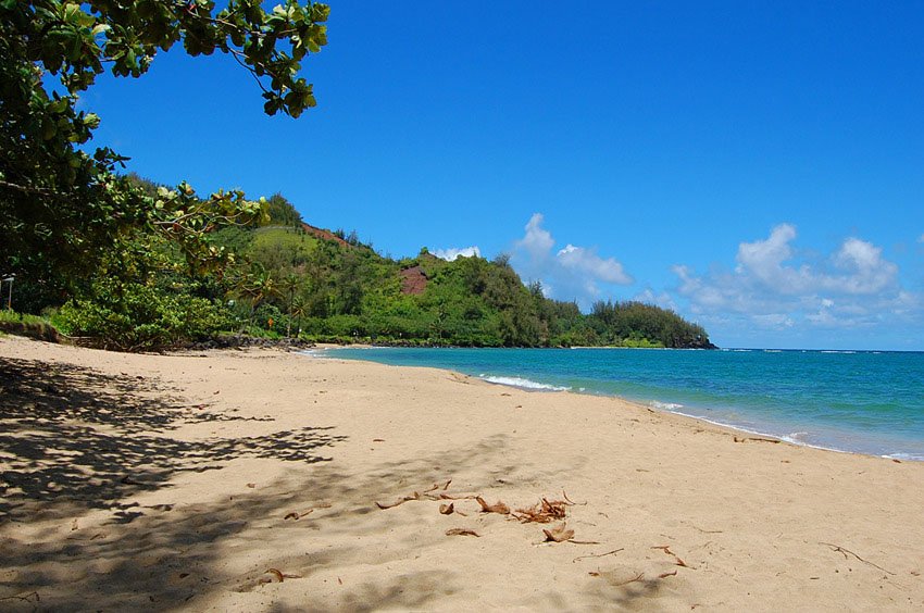 Waikoko Beach