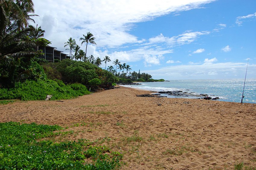 Northern end of Wailua Bay