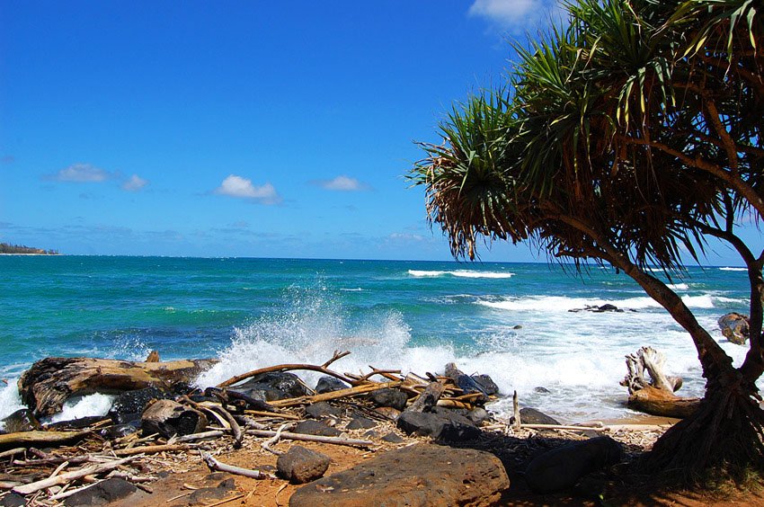 Splashing waves near Wailua Bay