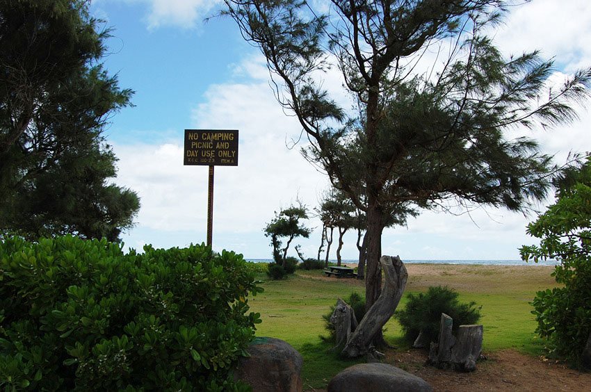 Waipouli park area