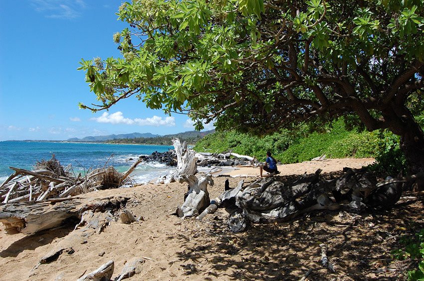 More shade on the beach