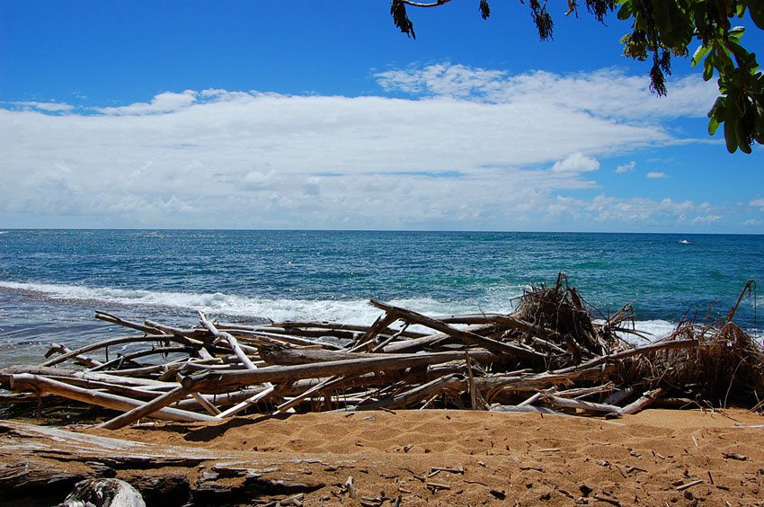 Waves crash over dry wood