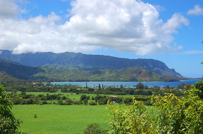 Beautiful north shore of Kauai