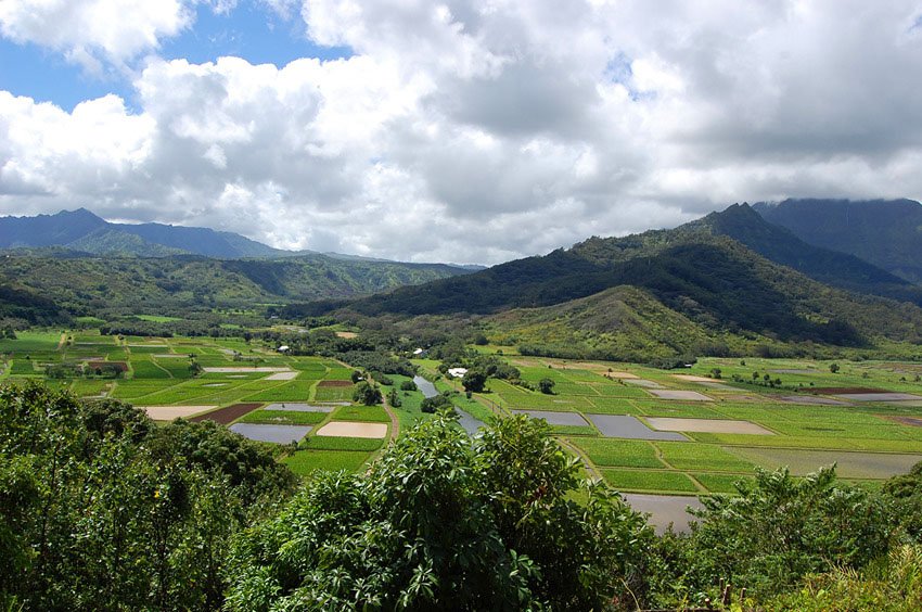 Hanalei valley