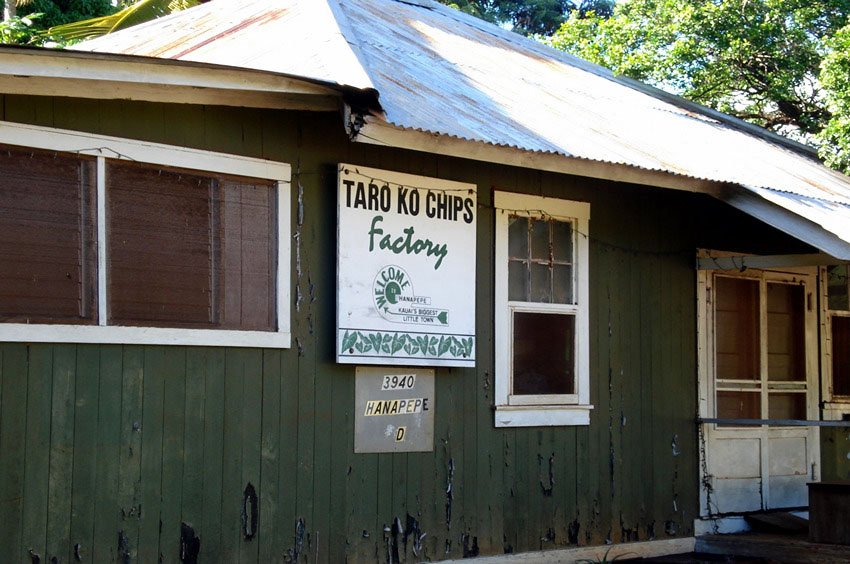 Taro Chip Factory