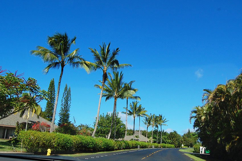 Driving through Princeville