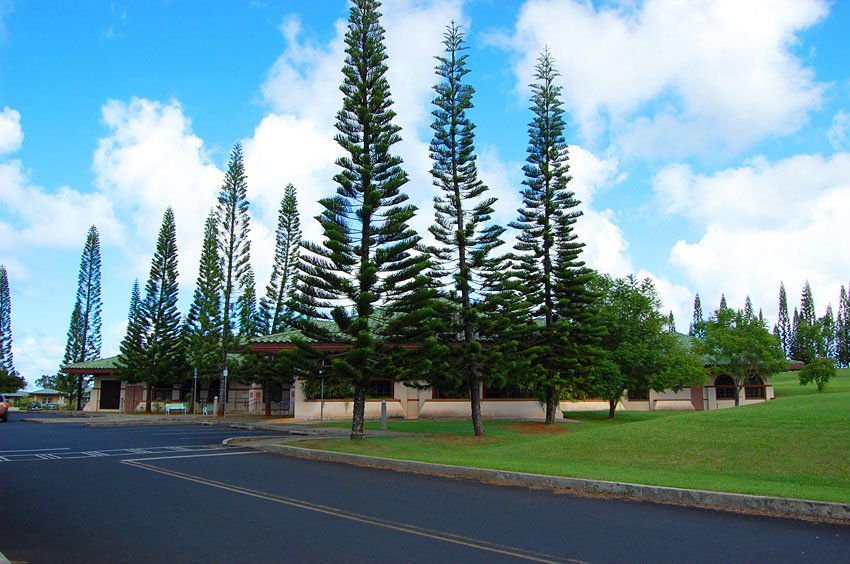 Princeville Public Library