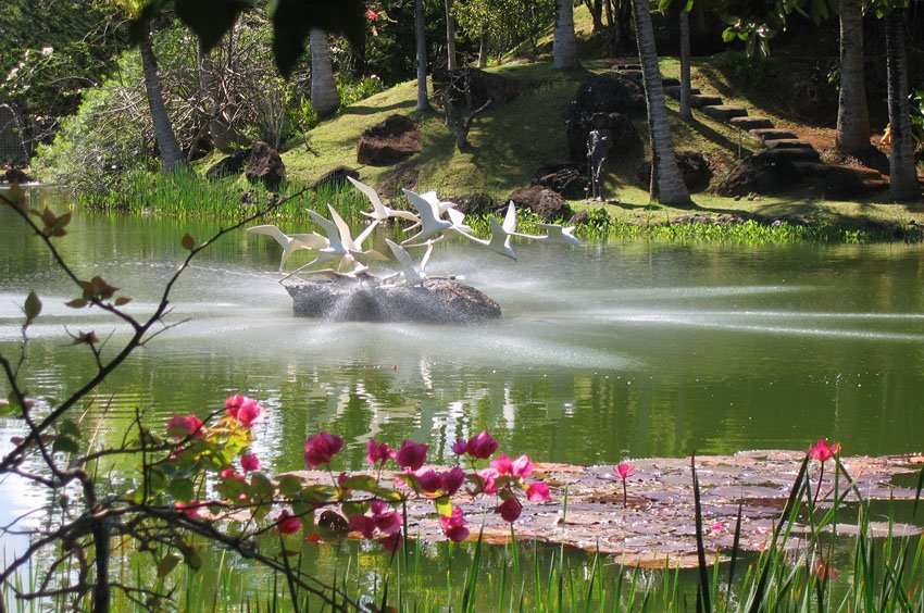 Garden scenery