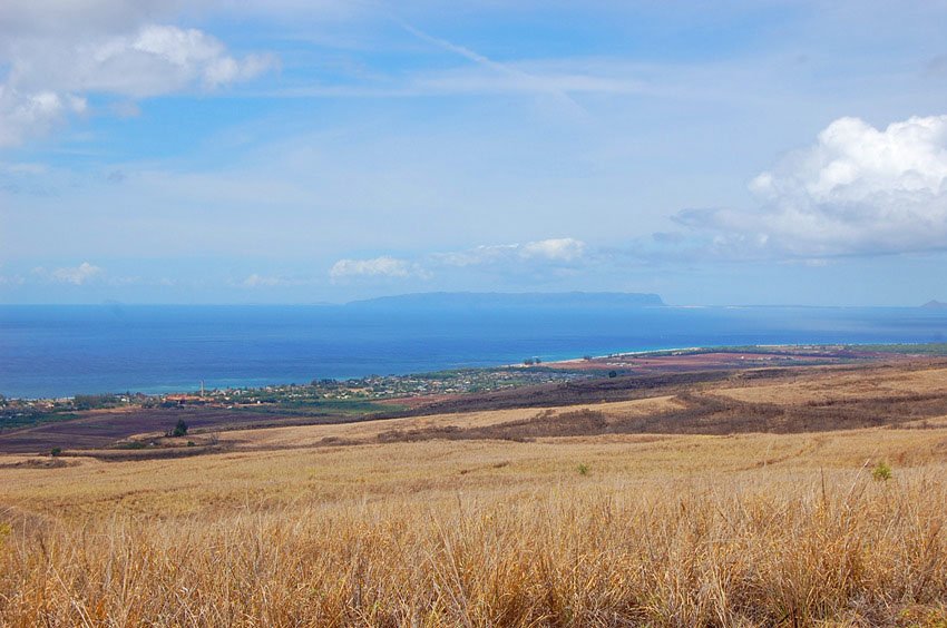 Island of Ni'ihau on the horizon