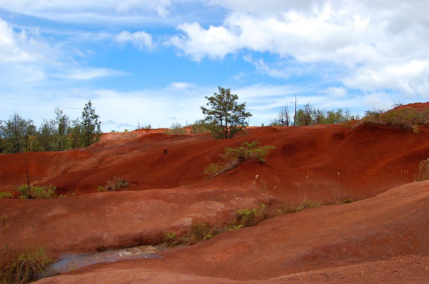 Small stream cuts through red soil