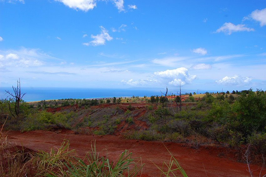 Waimea Canyon Drive scenic lookout