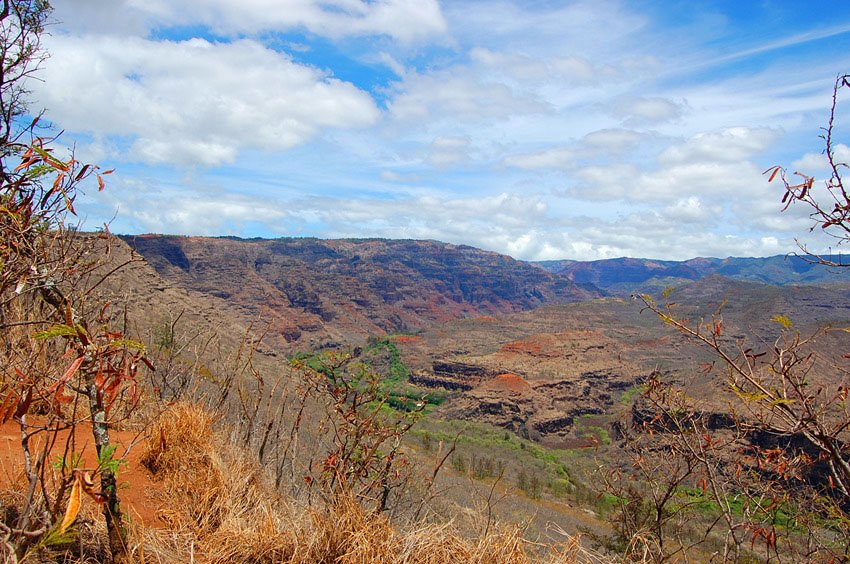 View to Waimea Canyon