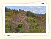 Waimea Canyon Drive