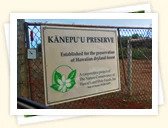 Kanepuu Preserve