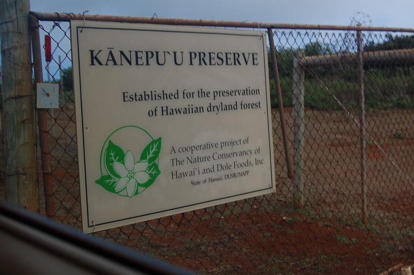 Kanepuu Preserve