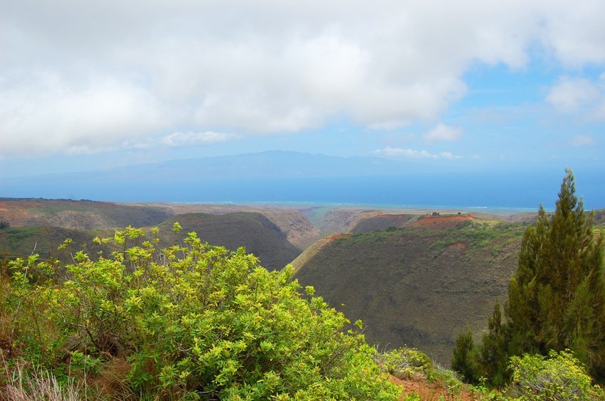 View from Munro Trail