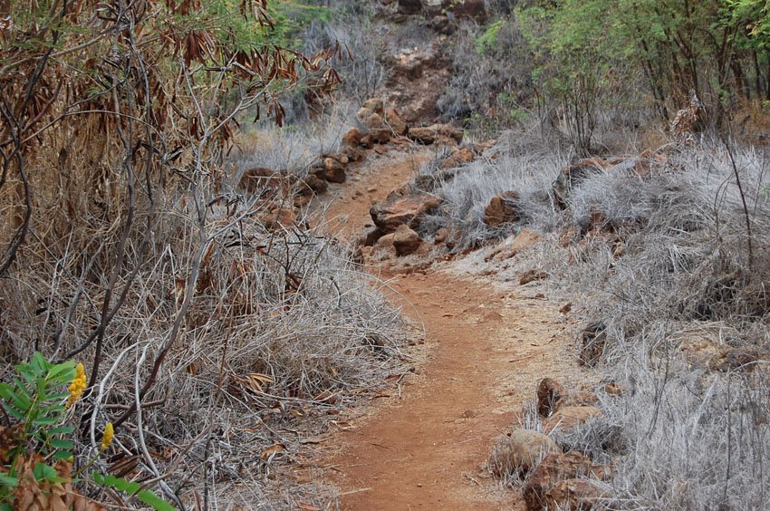 Follow the trail to Huawai Bay