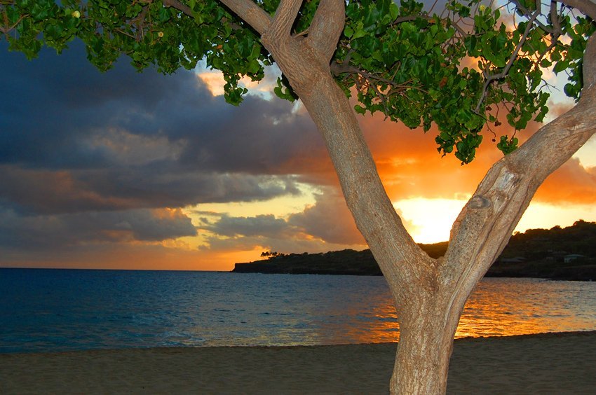 Hulopo'e Bay Beach sunset